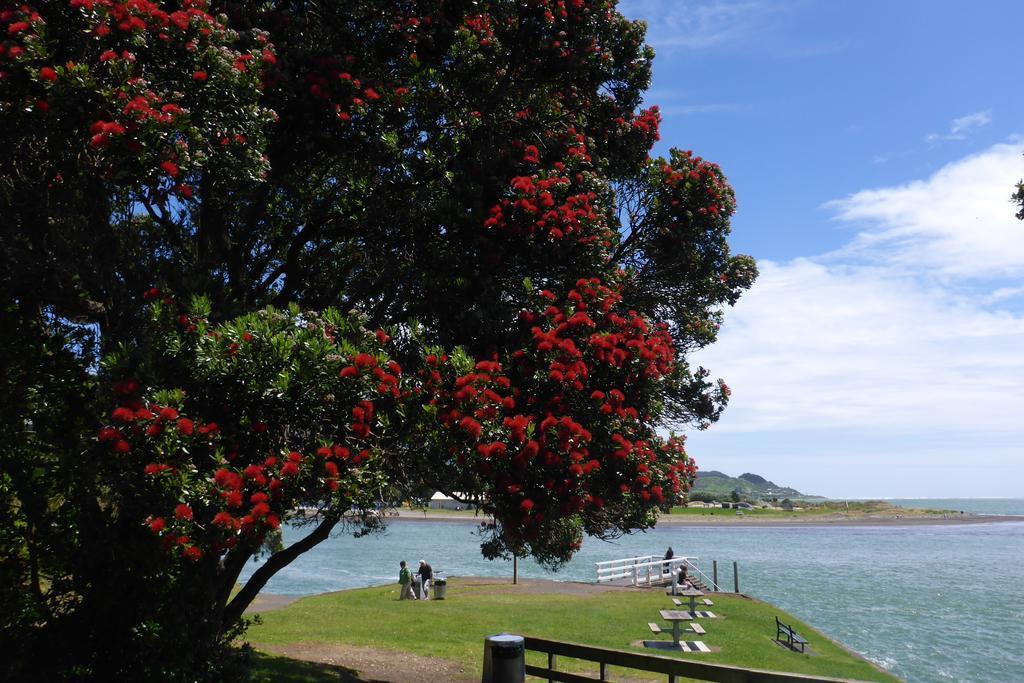Ocean View Raglan Bed & Breakfast Exterior foto