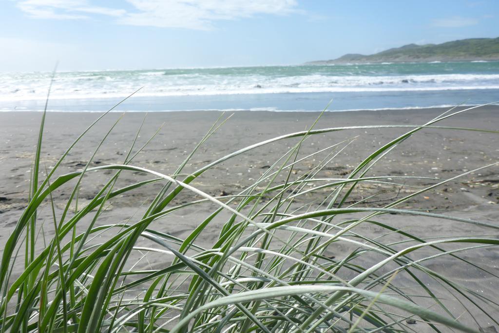 Ocean View Raglan Bed & Breakfast Exterior foto