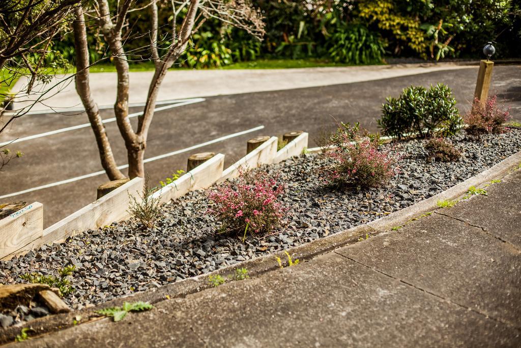Ocean View Raglan Bed & Breakfast Exterior foto